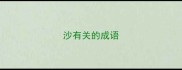 沙有关的成语