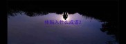 体贴入什么成语