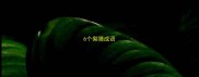 6个梨猜成语