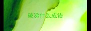 破涕什么成语