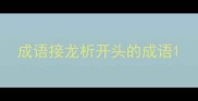 成语接龙析开头的成语