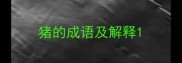 猪的成语及解释
