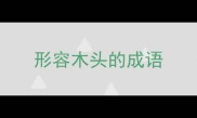 形容木头的成语