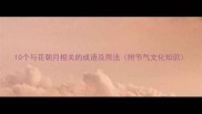 10个与花朝月相关的成语及用法附节气文化知识