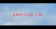 成语是什么柳什么花