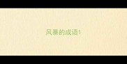风暴的成语