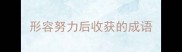 形容努力后收获的成语
