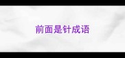 前面是针成语