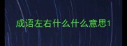 成语左右什么什么意思