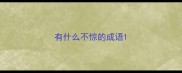 有什么不惊的成语