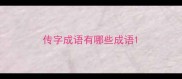 传字成语有哪些成语