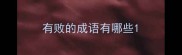 有败的成语有哪些