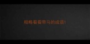 粗略看看带马的成语