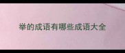 举的成语有哪些成语大全