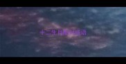 十二生肖配对成语