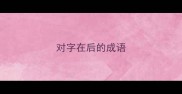 对字在后的成语