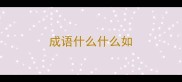 成语什么什么如