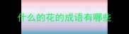 什么的花的成语有哪些