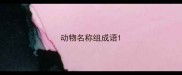 动物名称组成语
