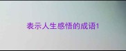表示人生感悟的成语