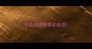 不染成语有哪些成语