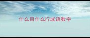什么目什么行成语数字