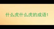 什么虎什么虎的成语