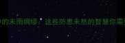 成语中的未雨绸缪这些防患未然的智慧你需要知道