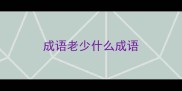 成语老少什么成语