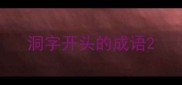 洞字开头的成语
