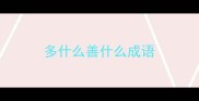 多什么善什么成语