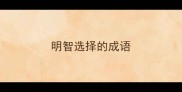 明智选择的成语