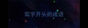 鸾字开头的成语