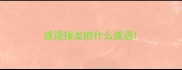 成语接龙的什么成语