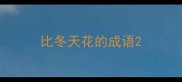 比冬天花的成语