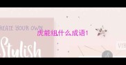 虎能组什么成语