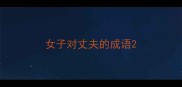 女子对丈夫的成语