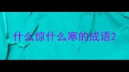 什么惊什么寒的成语
