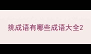 挑成语有哪些成语大全