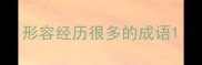 形容经历很多的成语