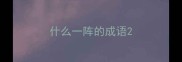 什么一阵的成语