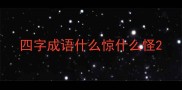 四字成语什么惊什么怪