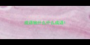 成语驰什么什么成语