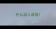 什么动人成语