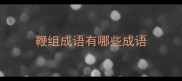 鞭组成语有哪些成语