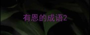 有恩的成语