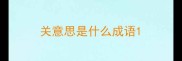 关意思是什么成语