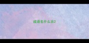 成语名什么古