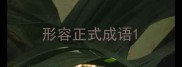 形容正式成语