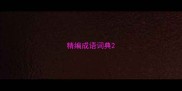 精编成语词典